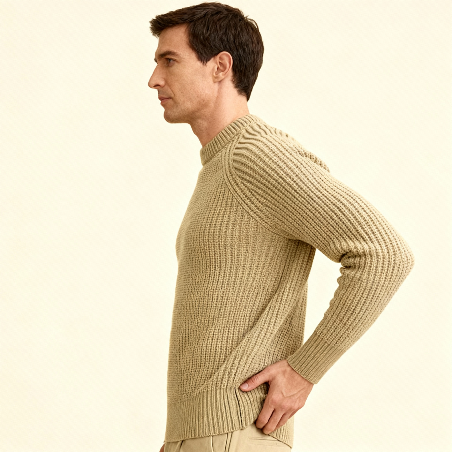 Men's Crewneck Sweater 100% Edition